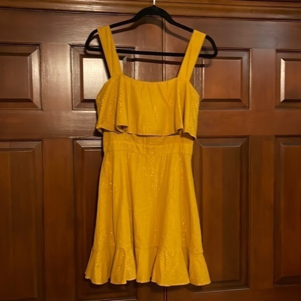Cleobella gold pinstriped lame sundress